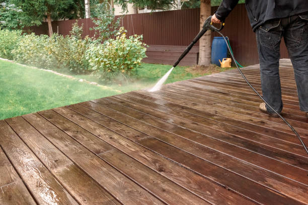 Best Sidewalk and Walkway Cleaning  in Pell City, AL